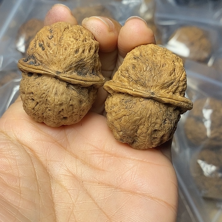 文玩核桃把件志成文玩66