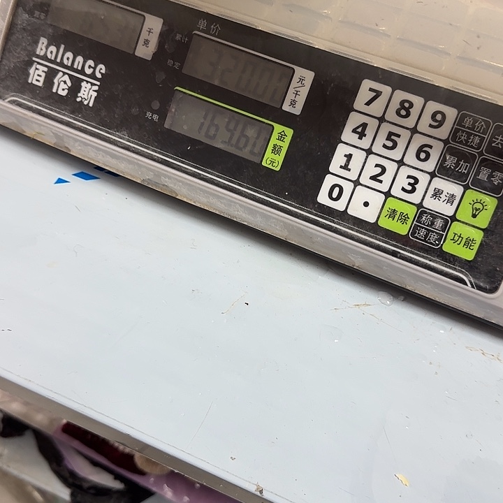 野生鳗鱼包活到家