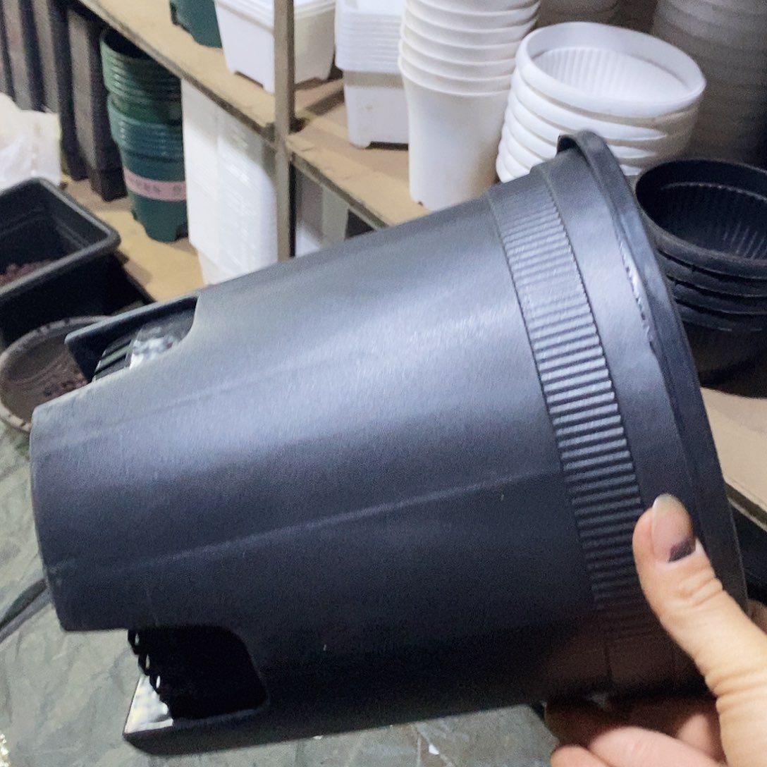 塑料新22公分黑加伦盆10个 