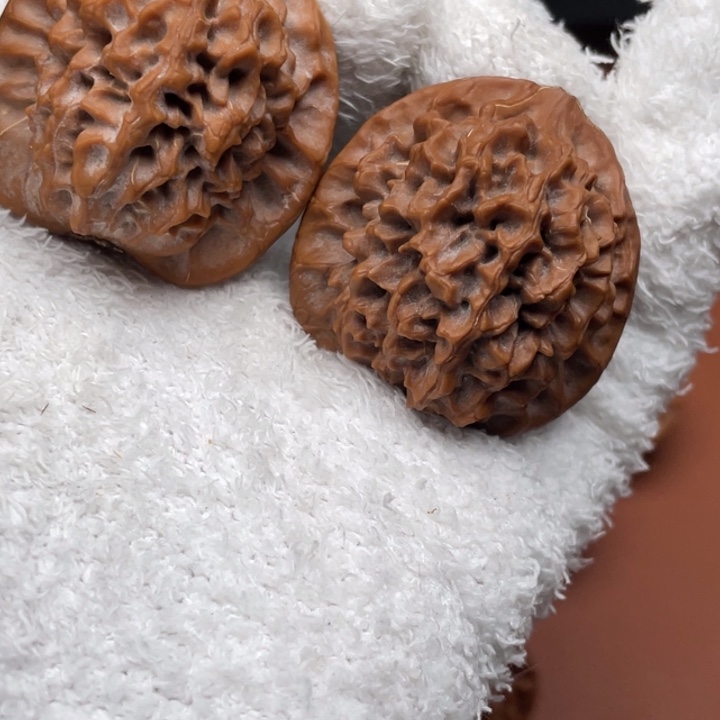 Y***Y文玩核桃吊坠秦核等人的故事也在