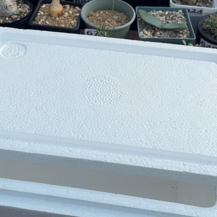 0度以下植物保温箱必拍