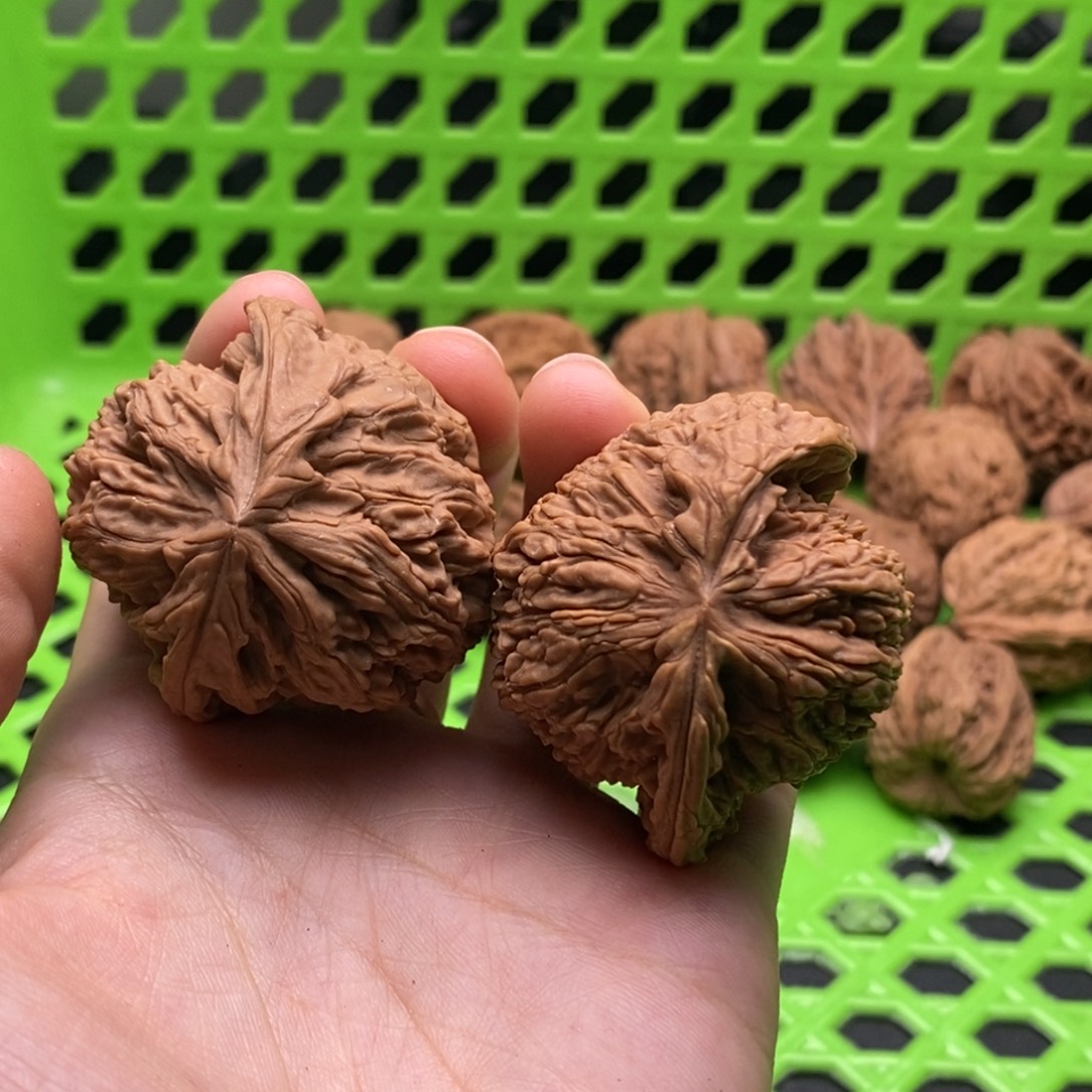 ****️核桃定制商品不退不换