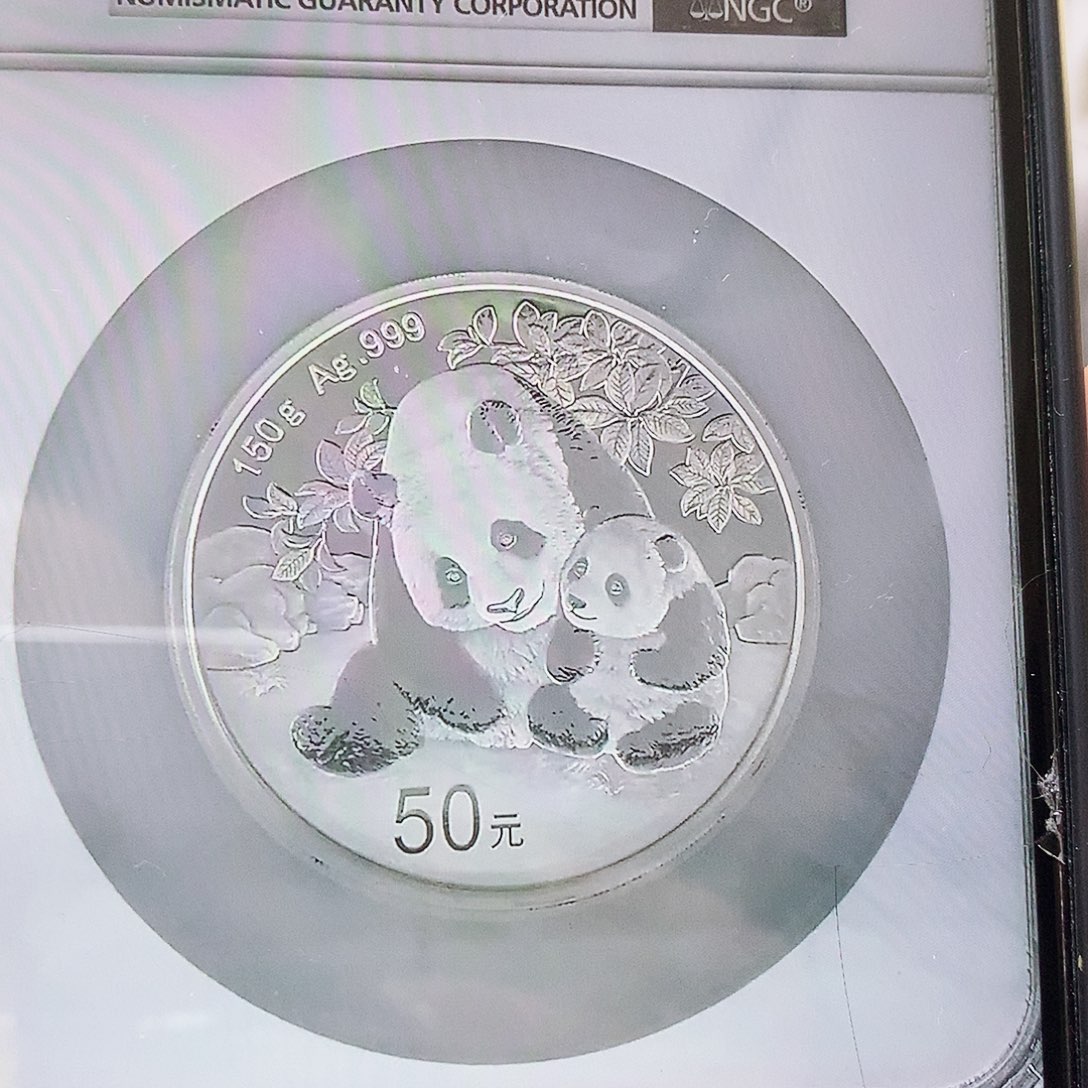纯银24年150克熊猫69分