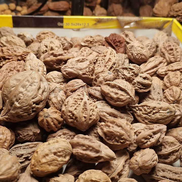 文玩核桃手串悟东北秋子异型籽178颗21