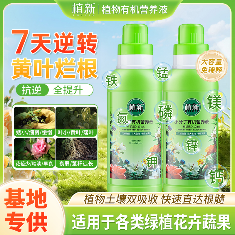 植新小分子有机营养液家庭园艺促进生长温和养护不伤根苗C商品图