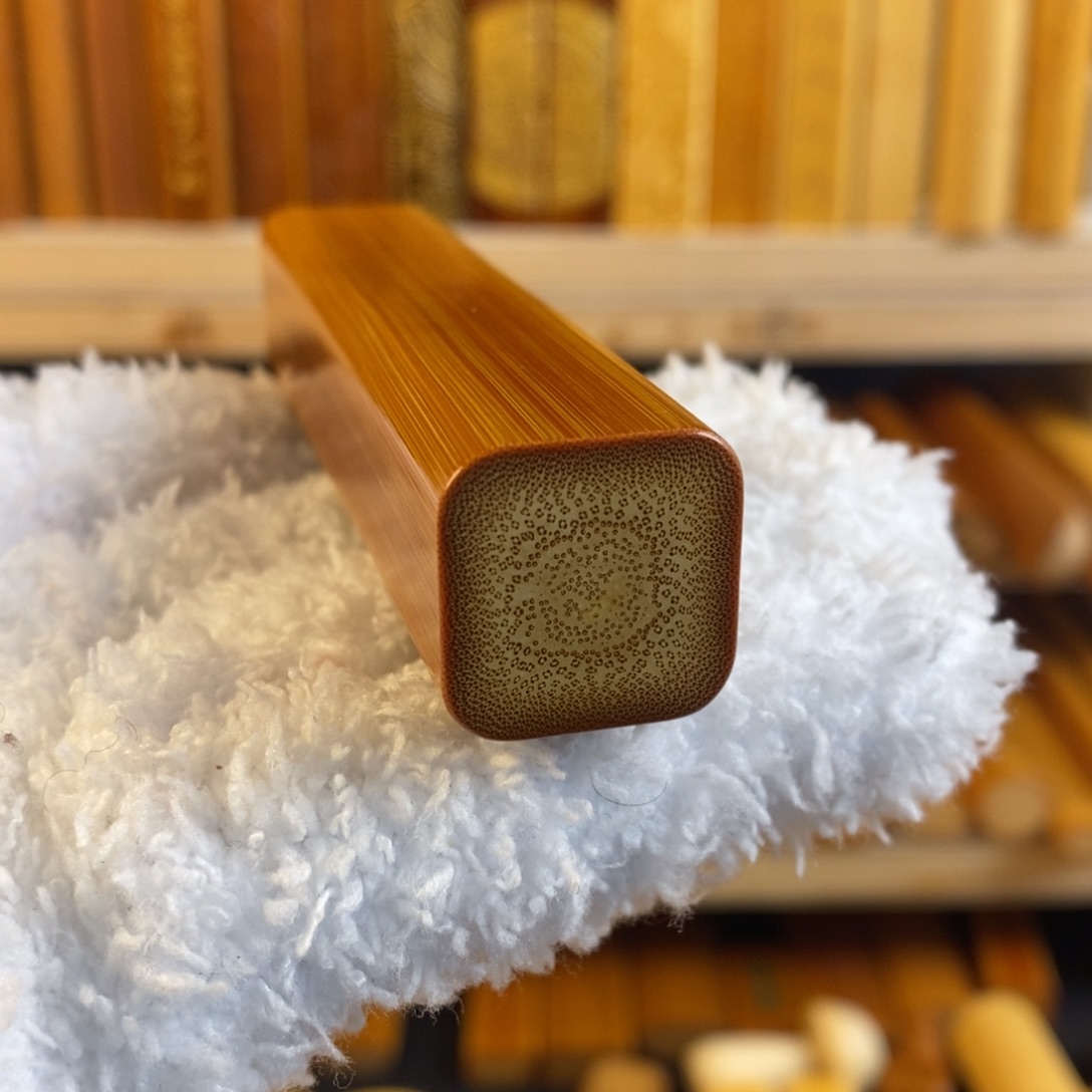 竹实心玉竹 一物一图