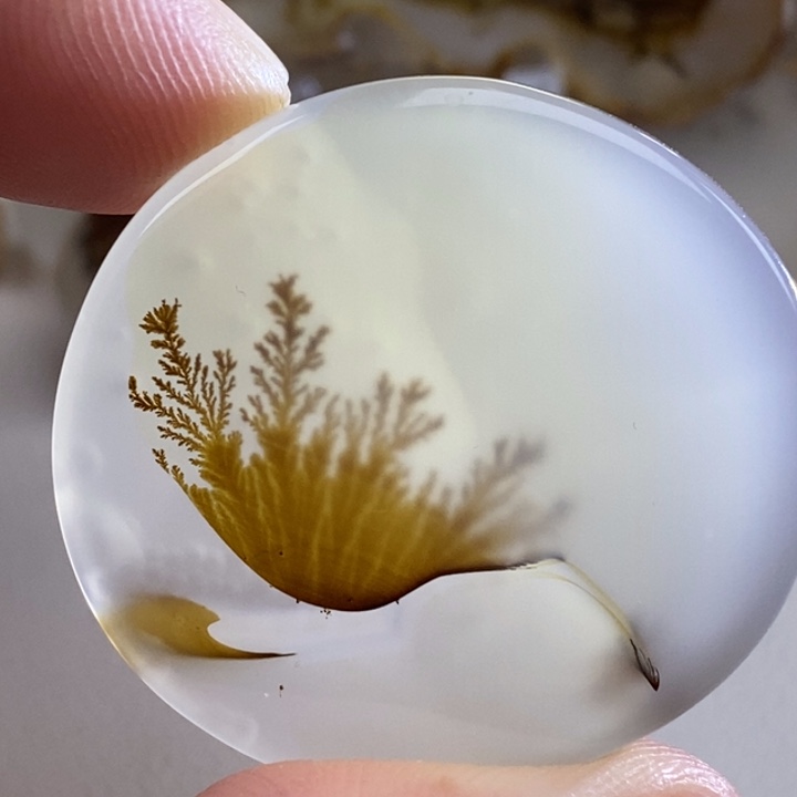 卫***哥玛瑙/玉髓未镶嵌珠宝奇石