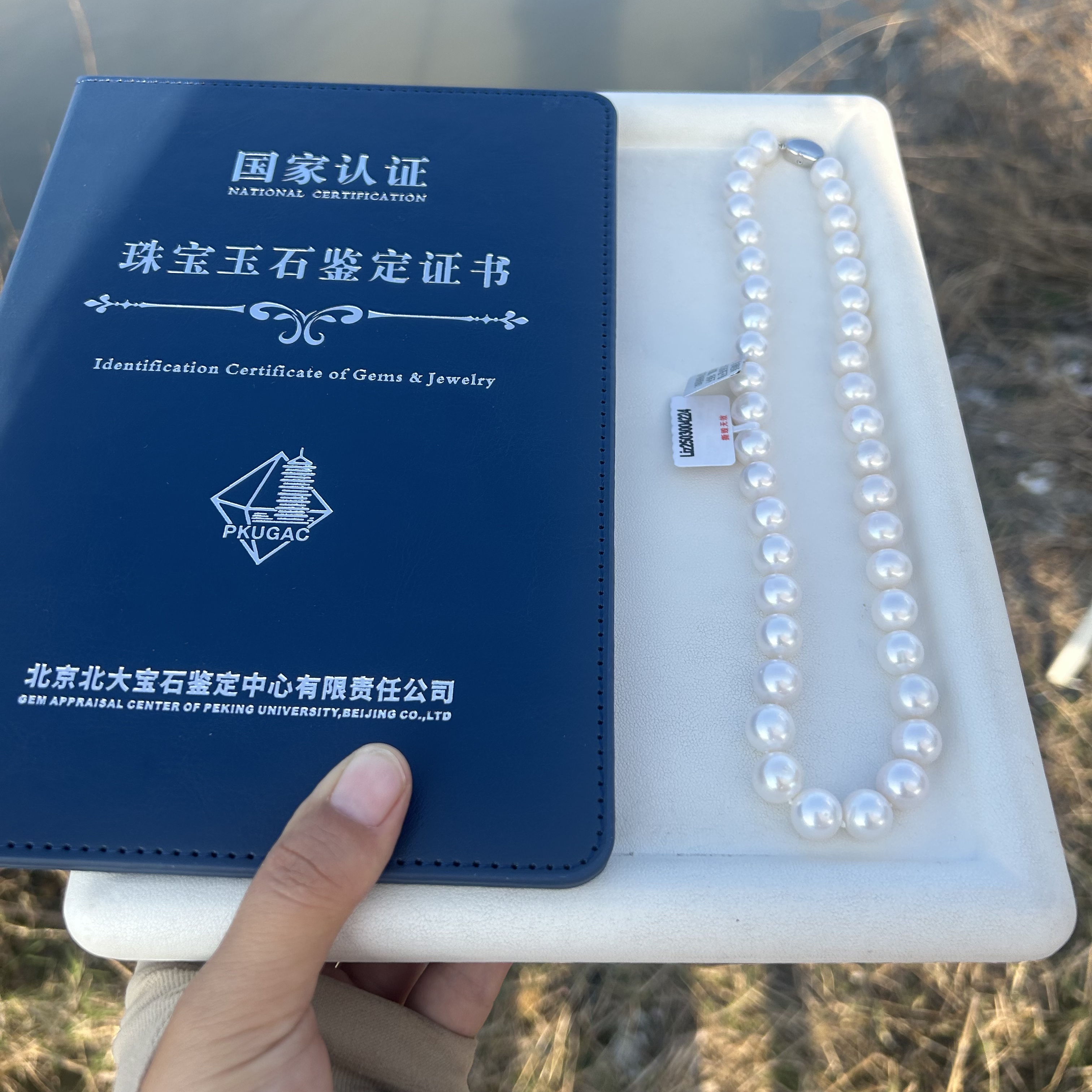 【承月】“北大大证极光传家宝”无核大龙珠9.3-11mm s925银爱心扣