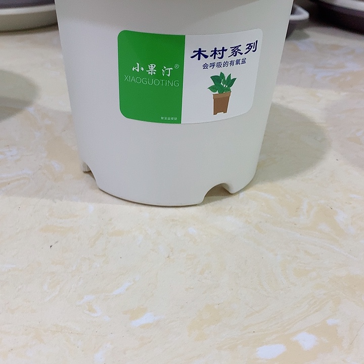 小果汀15口白10个无托