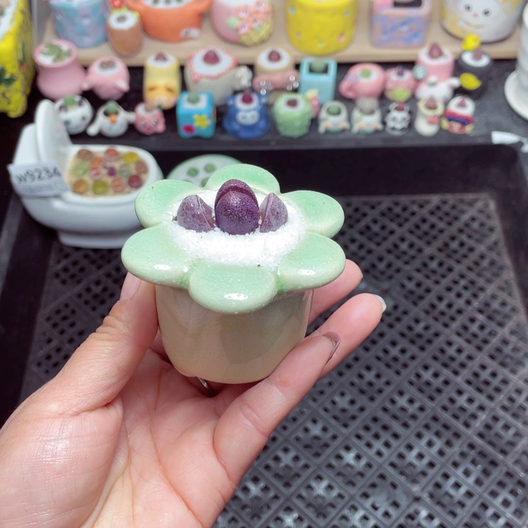 w9236 带盆土发货-零下地区拍保温箱