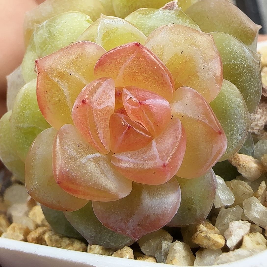 552号哈哈哈哈哈哈