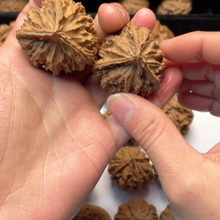 文玩核桃把件文玩城的小伙伴们