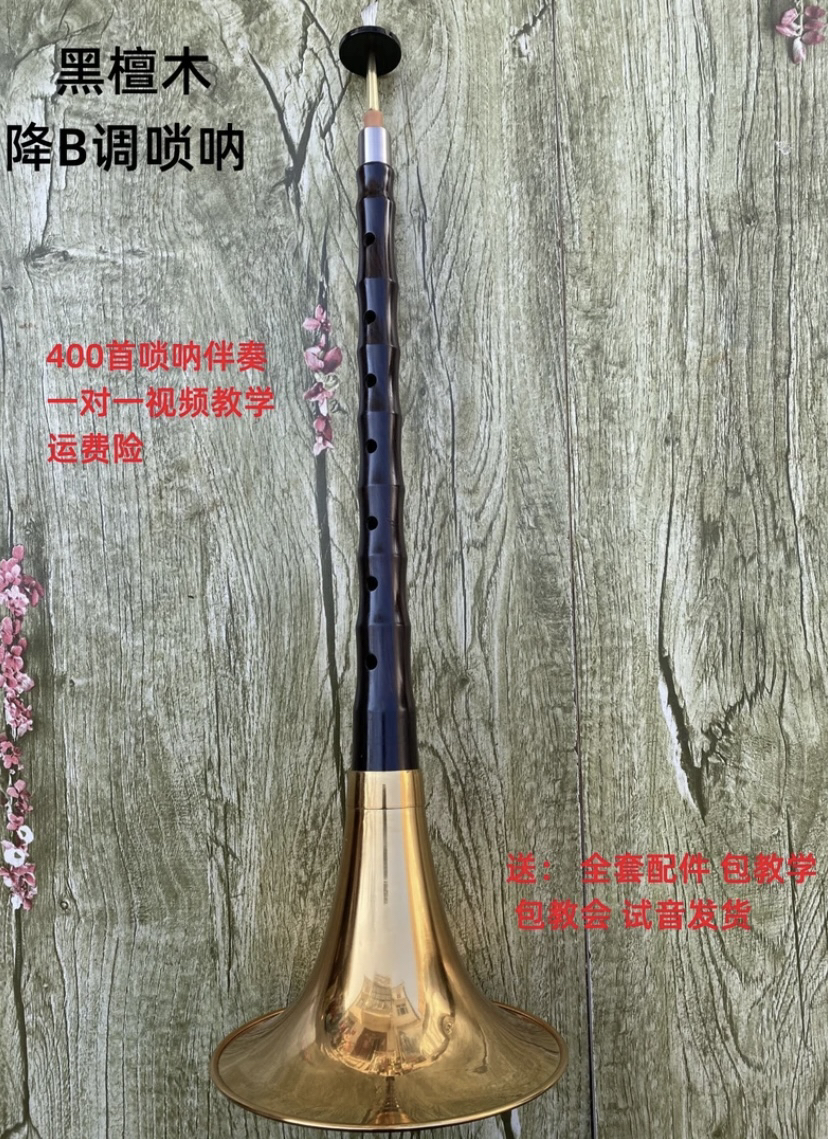 包教学初学降B调黑檀木唢呐送教学视频曲谱伴奏哨片