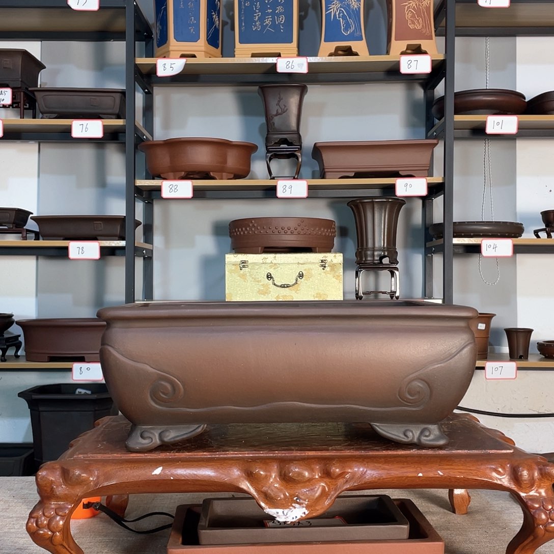 红陶^46778787877877889