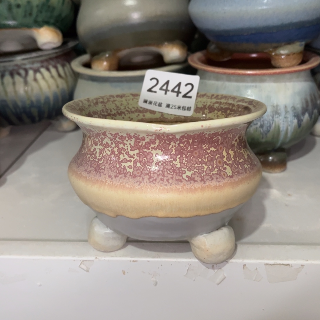 2442内口10景德镇手工制作瑕疵