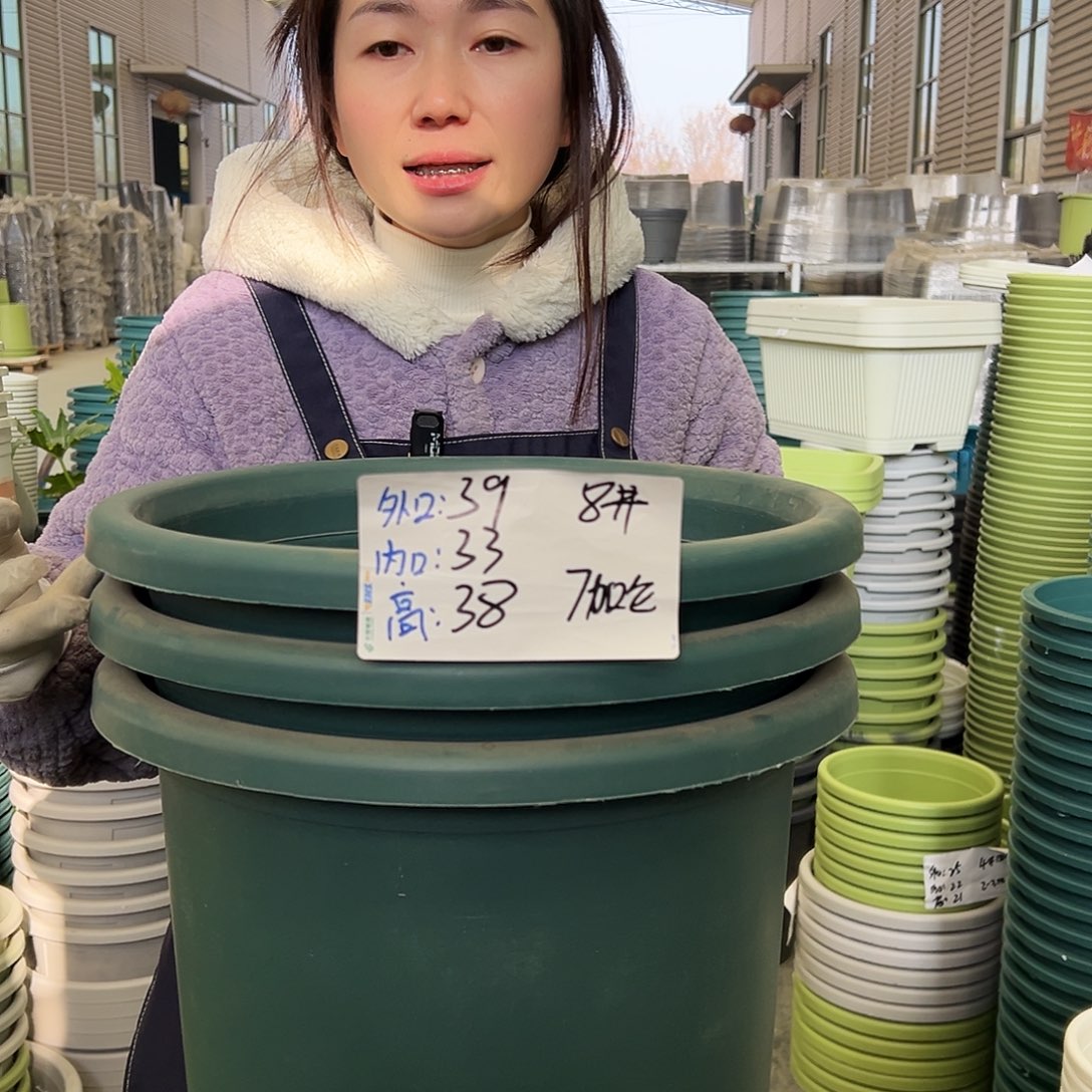 四季盆8#墨绿5个无托