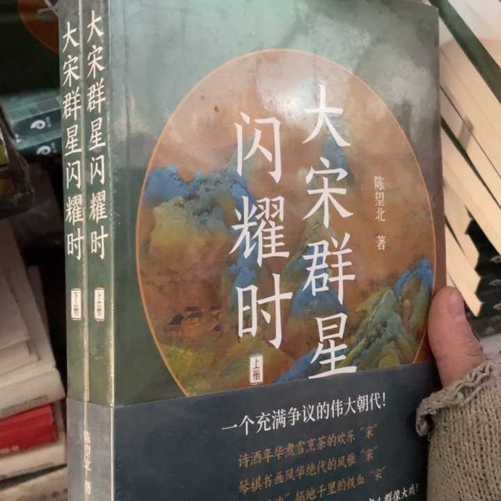大宋群星闪耀时全两册