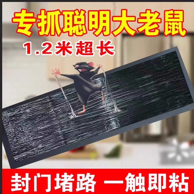 超强力粘鼠板大老鼠贴捕鼠老鼠神器克星透明隐形大号家用灭黏粘鼠