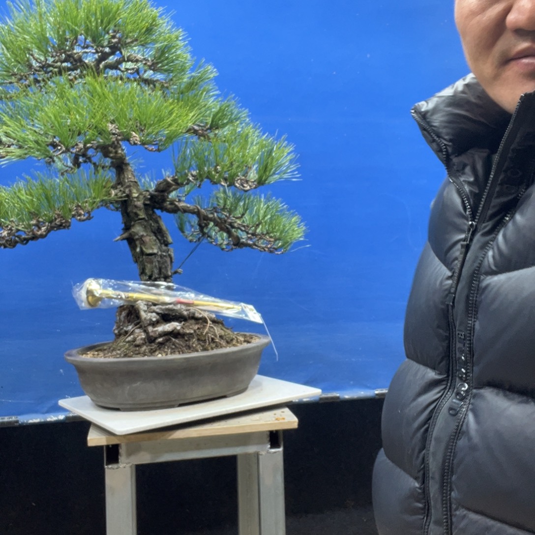 无花朵88888888888