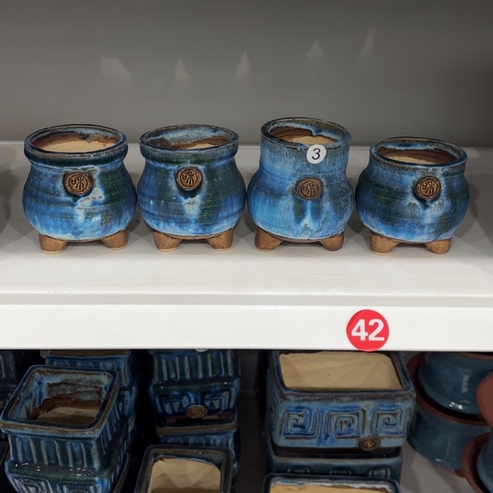 斑****一共4个花盆，分开拍