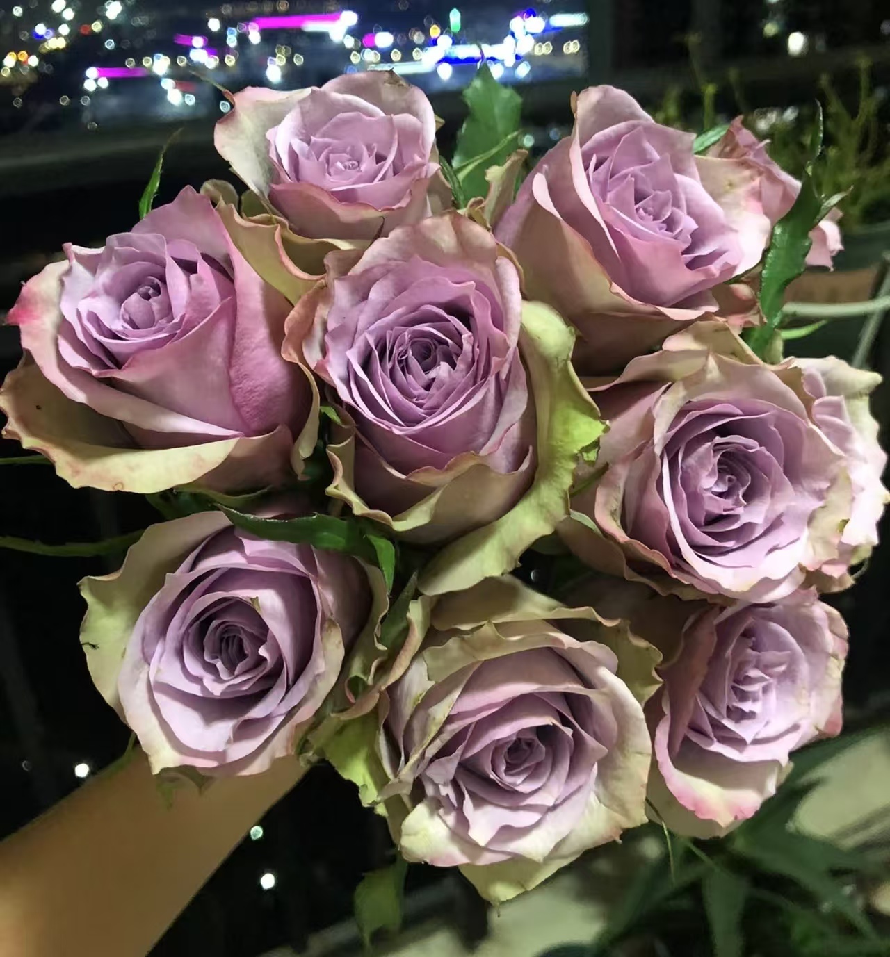 萨曼莎婚礼特大苗   四季灌木月季
