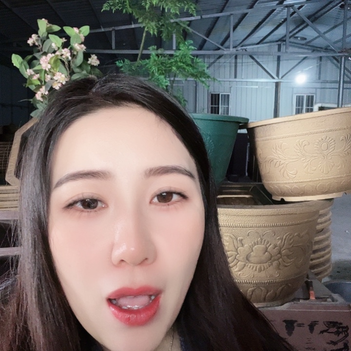 盆景40五个 盆景50口径三个