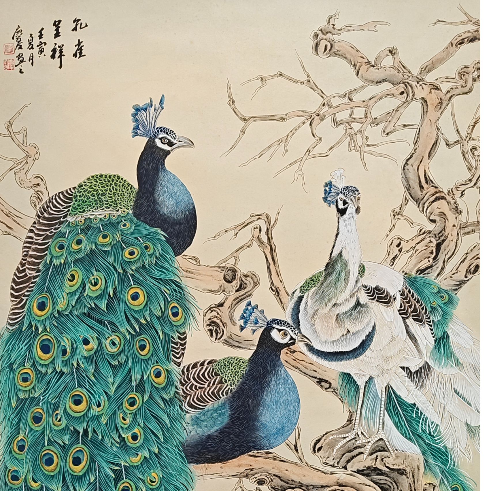 孔雀呈祥国画作品