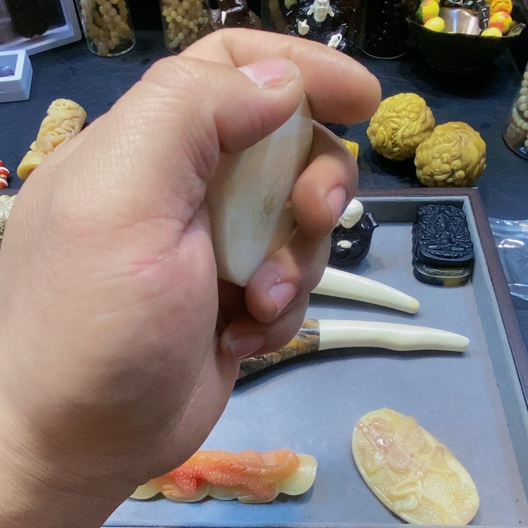 贝壳把件我****！主播推荐人工养殖