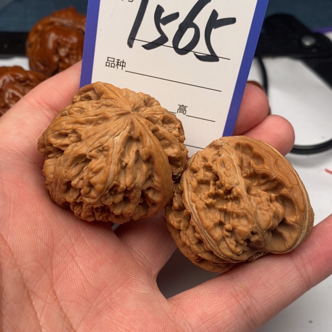文玩核桃把件1565