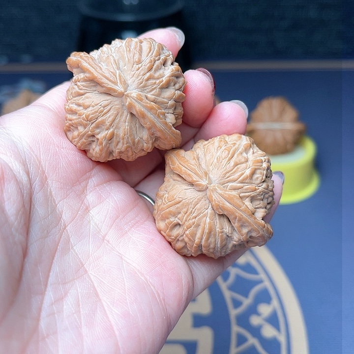 文玩核桃把件40全品白狮子