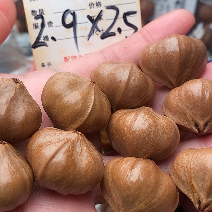 手串/手链橄榄核?****?