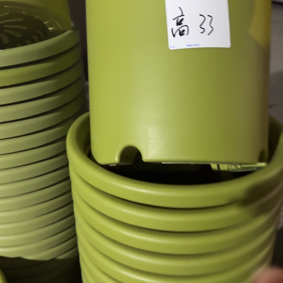 树脂四季7号无托6个灰白