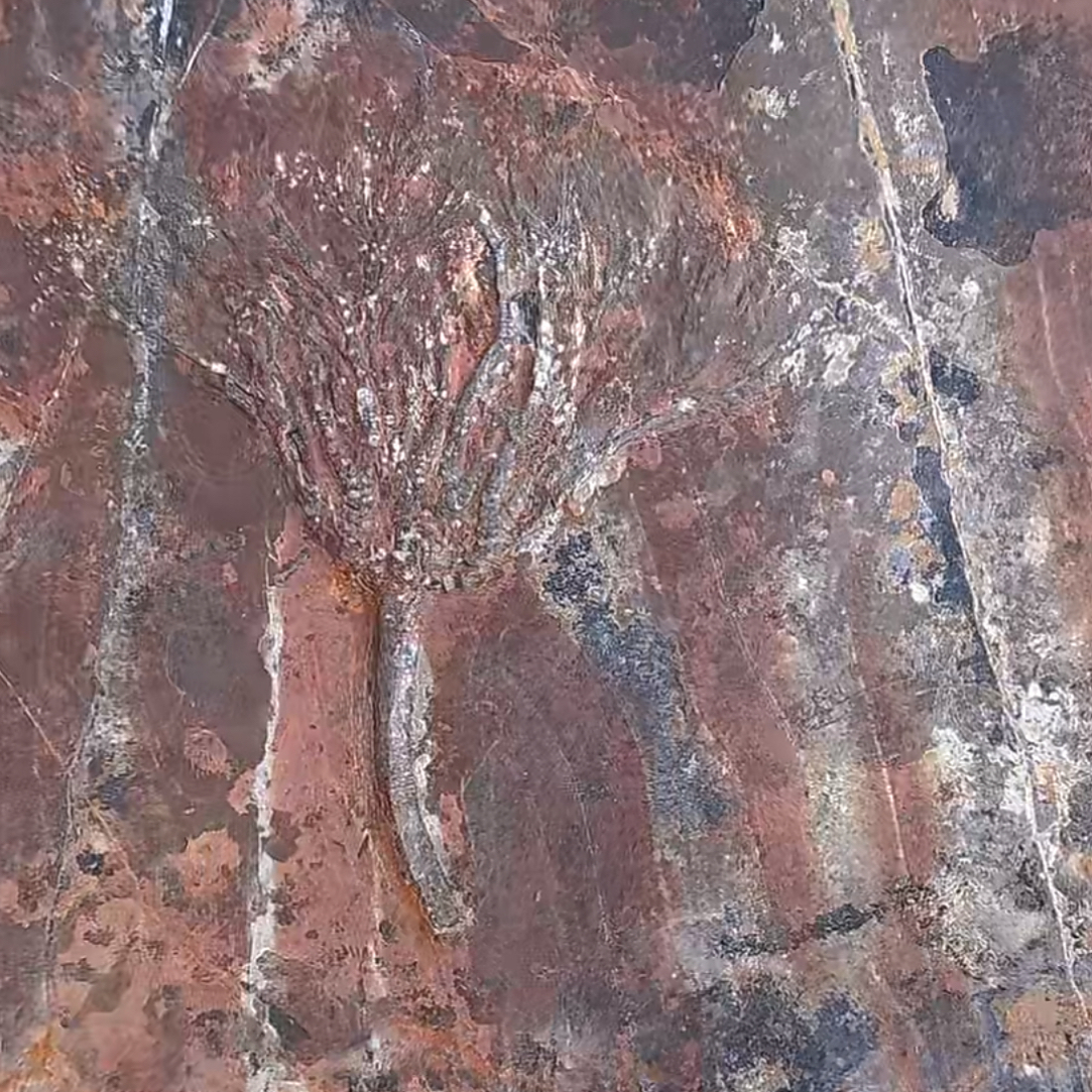 花花创意礼物家居配饰新年礼物个人收藏