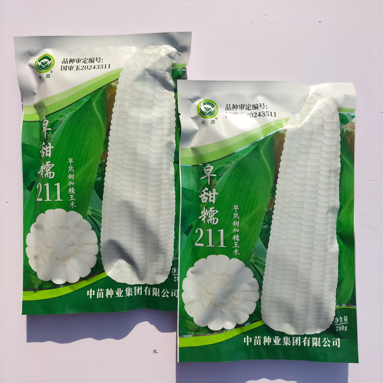 极早熟矮杆大棒早甜糯211白色大棒春秋播种200克