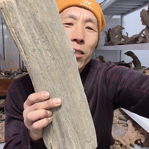【闪购商品】柏木（崖柏）1