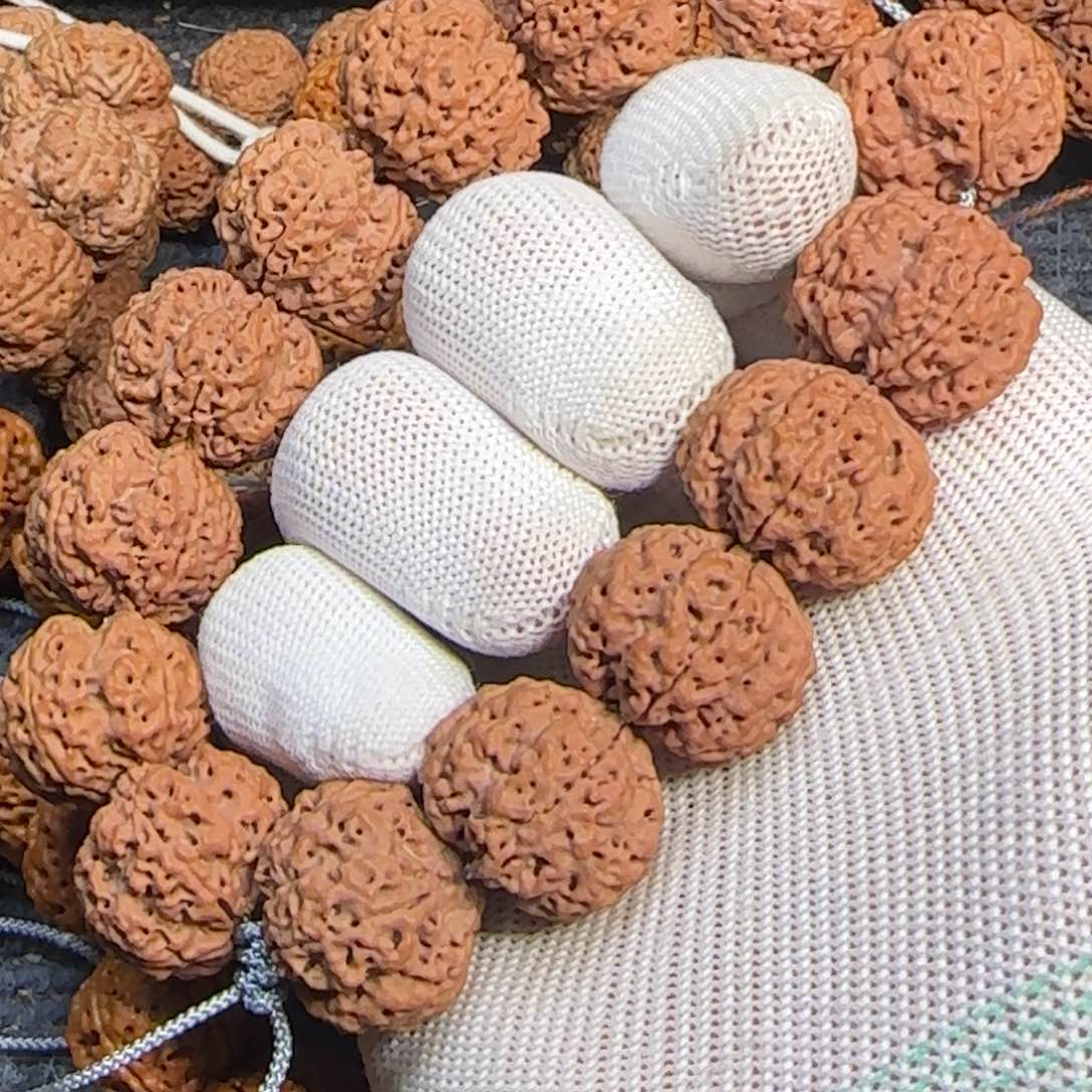 菩提金刚菩提23梅花双龙