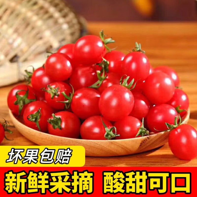 广西百色圣女果小番茄新鲜现摘应季水果酸甜美味
