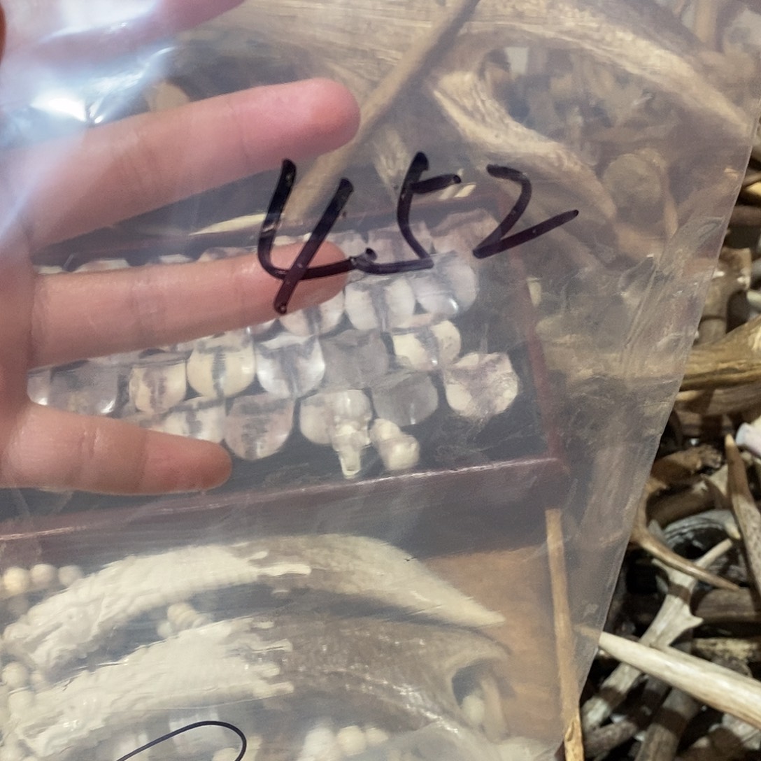 锦****非金属鹿角鹿角鹿角