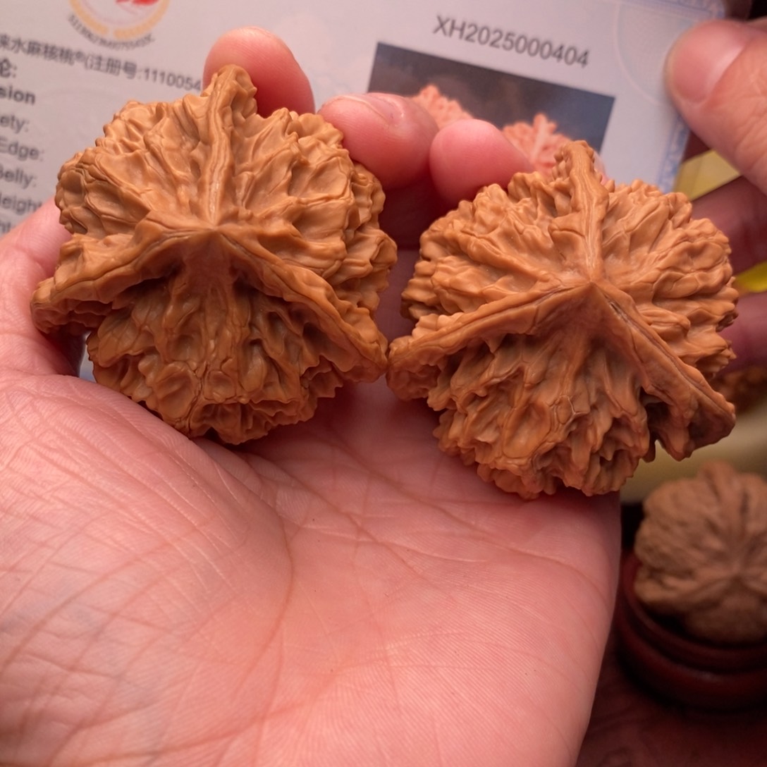 文玩核桃把件正奔49