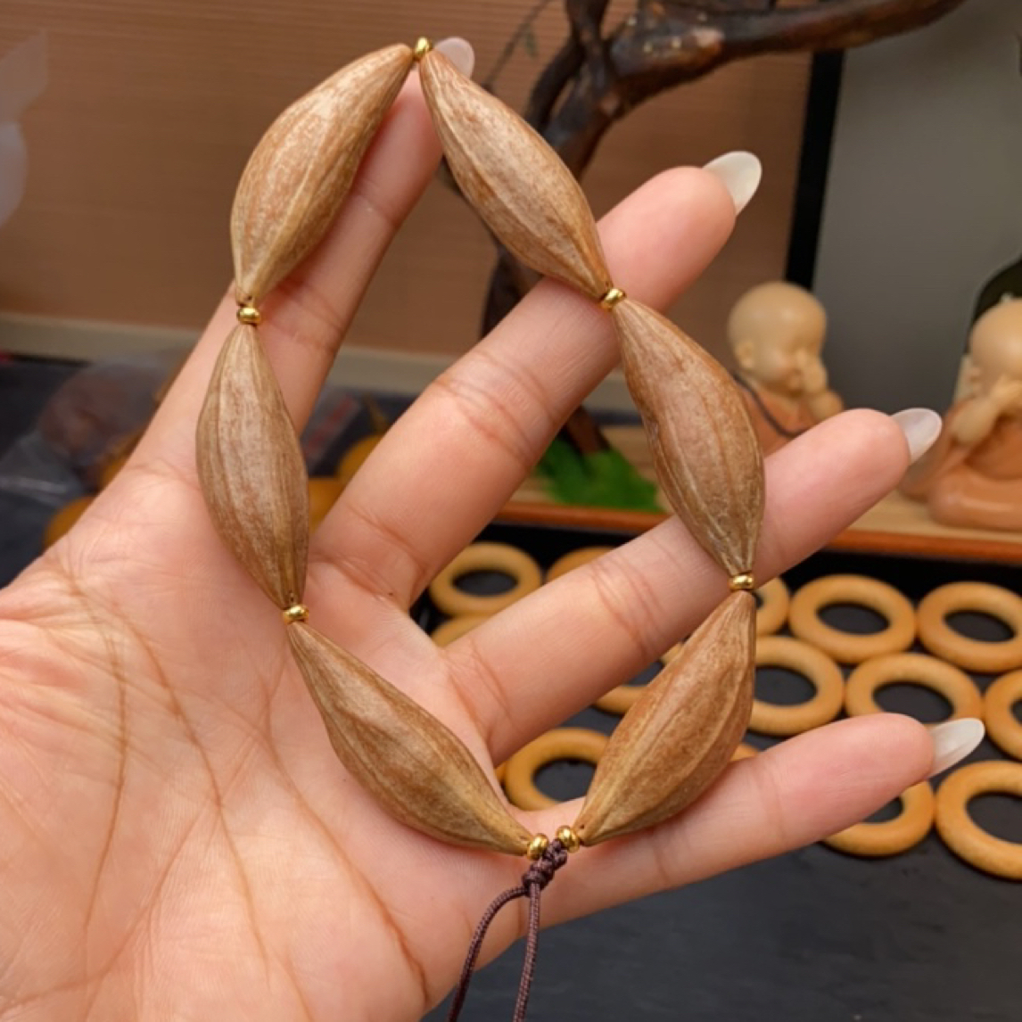 天然橄榄核柳叶素核