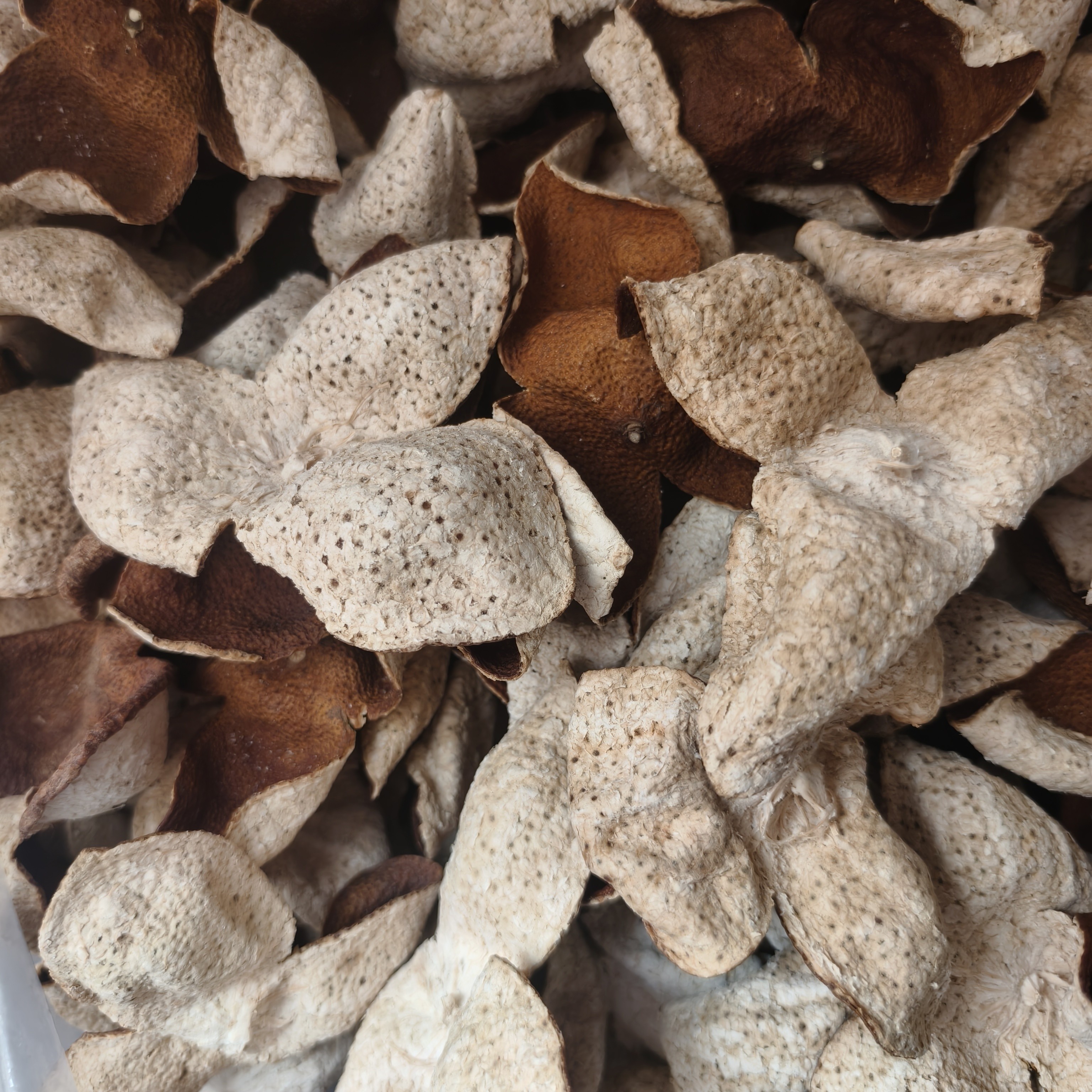 2024年浦北冬后大红陈皮二红陈皮