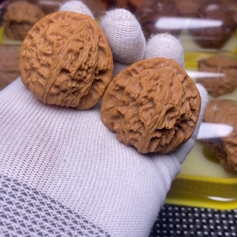 文玩核桃把件白狮子41