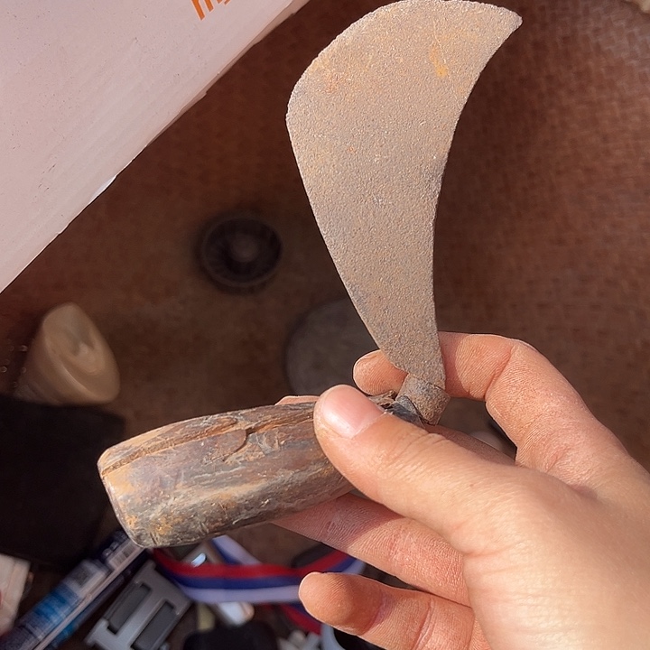 核桃木/黑胡桃（胡桃木）A**头