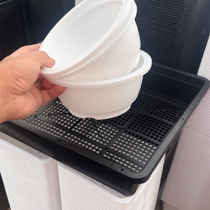 160白色韩盆10个高7厘米