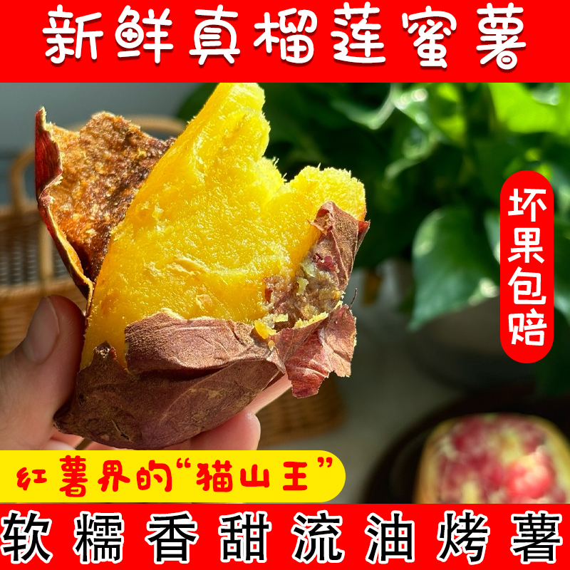 京彩节节高福利款 正宗榴莲蜜薯新鲜黄心番薯软糯香甜沙地烤地瓜