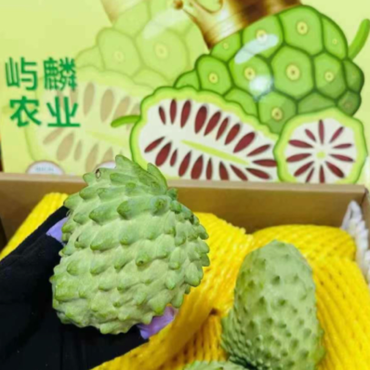 甄选释迦一箱6粒