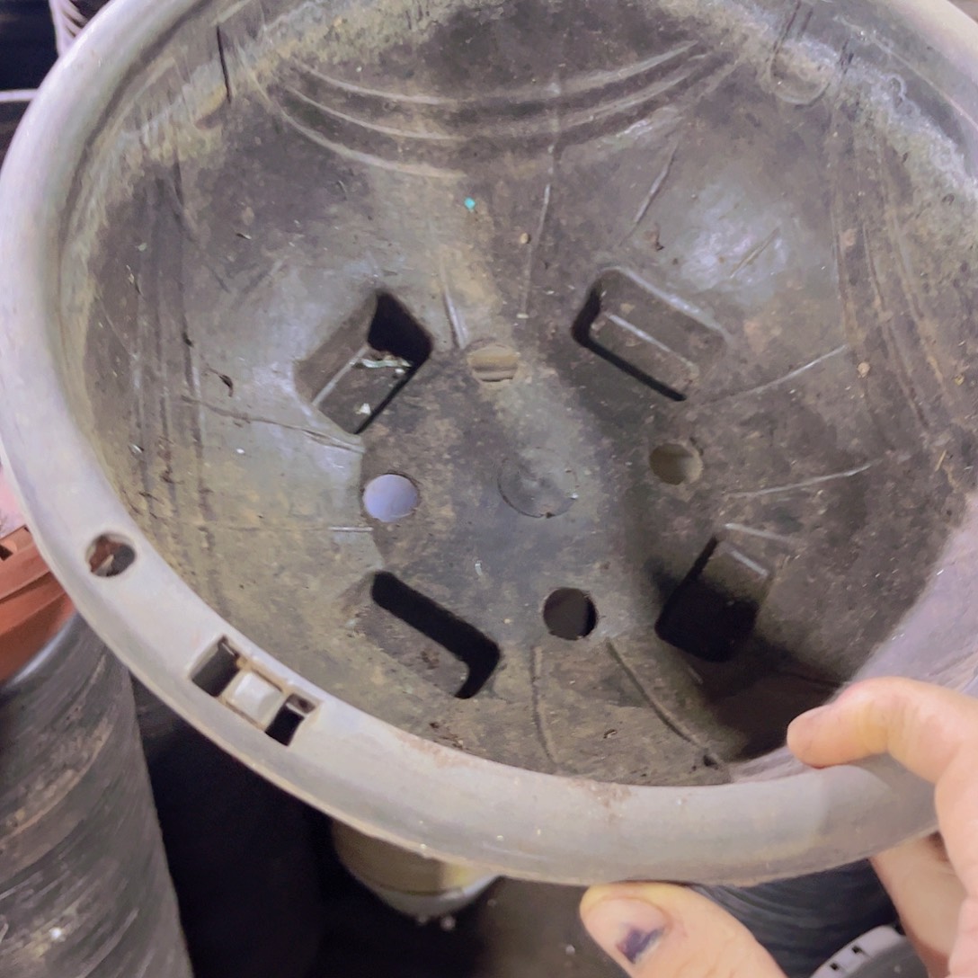 塑料旧27公分黑吊兰盆 10个