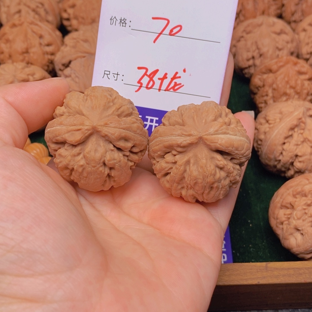 文玩核桃霸王龙核桃