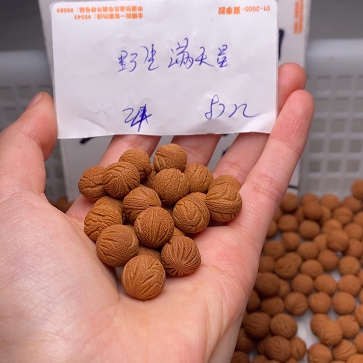 我***吖桃核手串12mm左右野生满天星24颗（打孔）