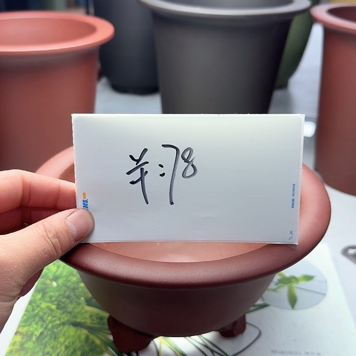 紫砂2222222222222222222222